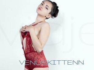 VENUSKITTENN