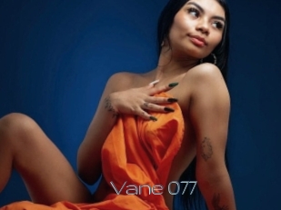 Vane_077