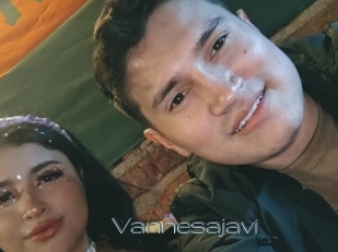 Vannesajavi