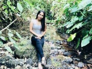 Wild_Rose18