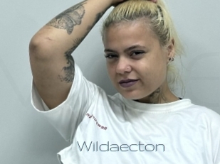 Wildaecton