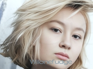 Wilonefudge