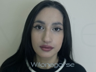 Wilonegorse