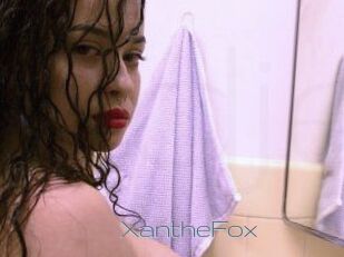Xanthe_Fox
