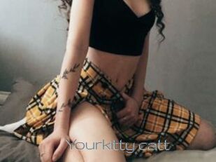 Yourkitty_catt