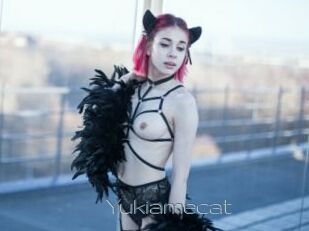 Yukiamecat