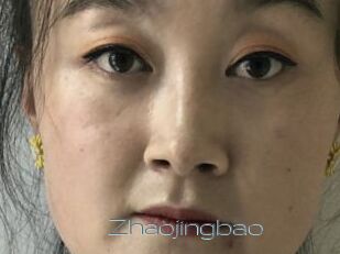 Zhaojingbao
